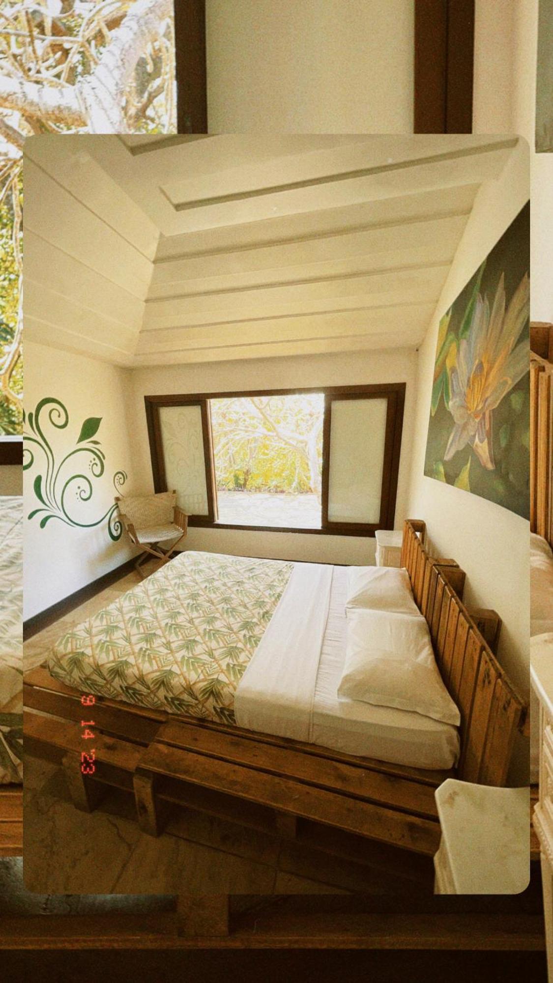 Búzios The Eco Palace Hostel מראה חיצוני תמונה